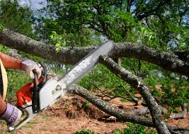 Best Lawn Mowing  in Fritch, TX